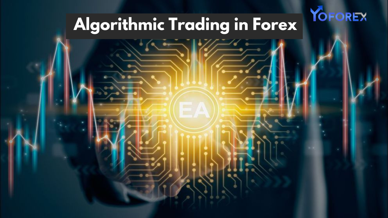 Algorithmic Trading in Forex