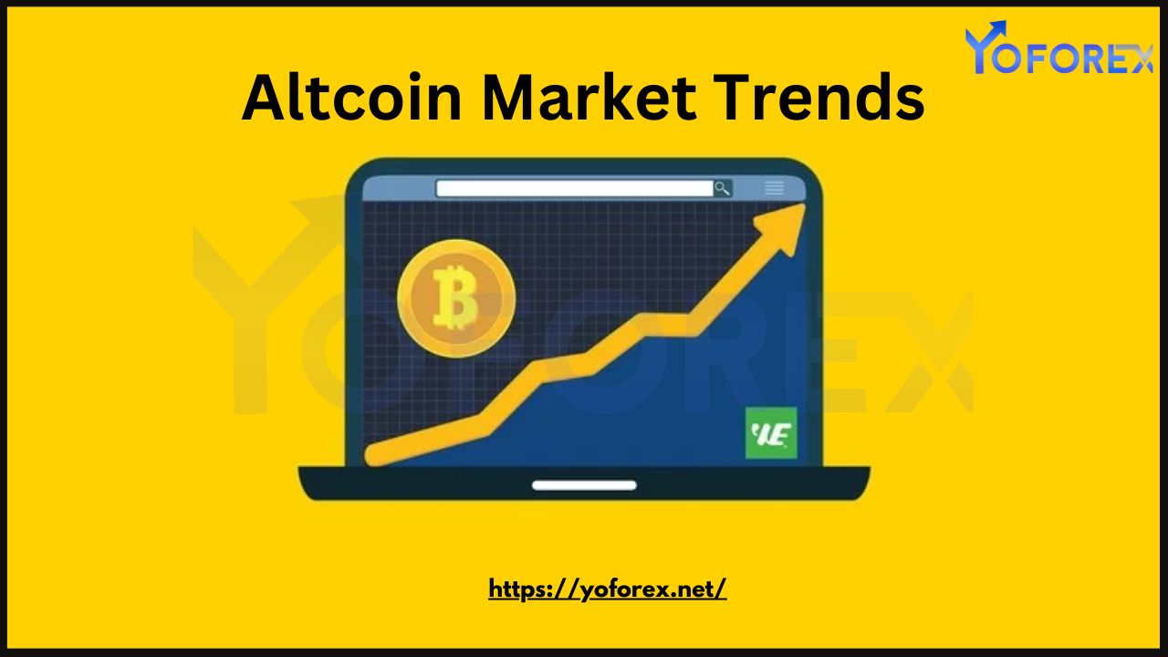 Altcoin Market Trends