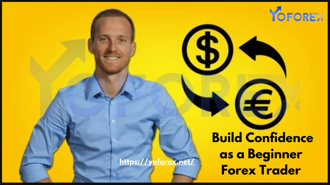 Forex Trader