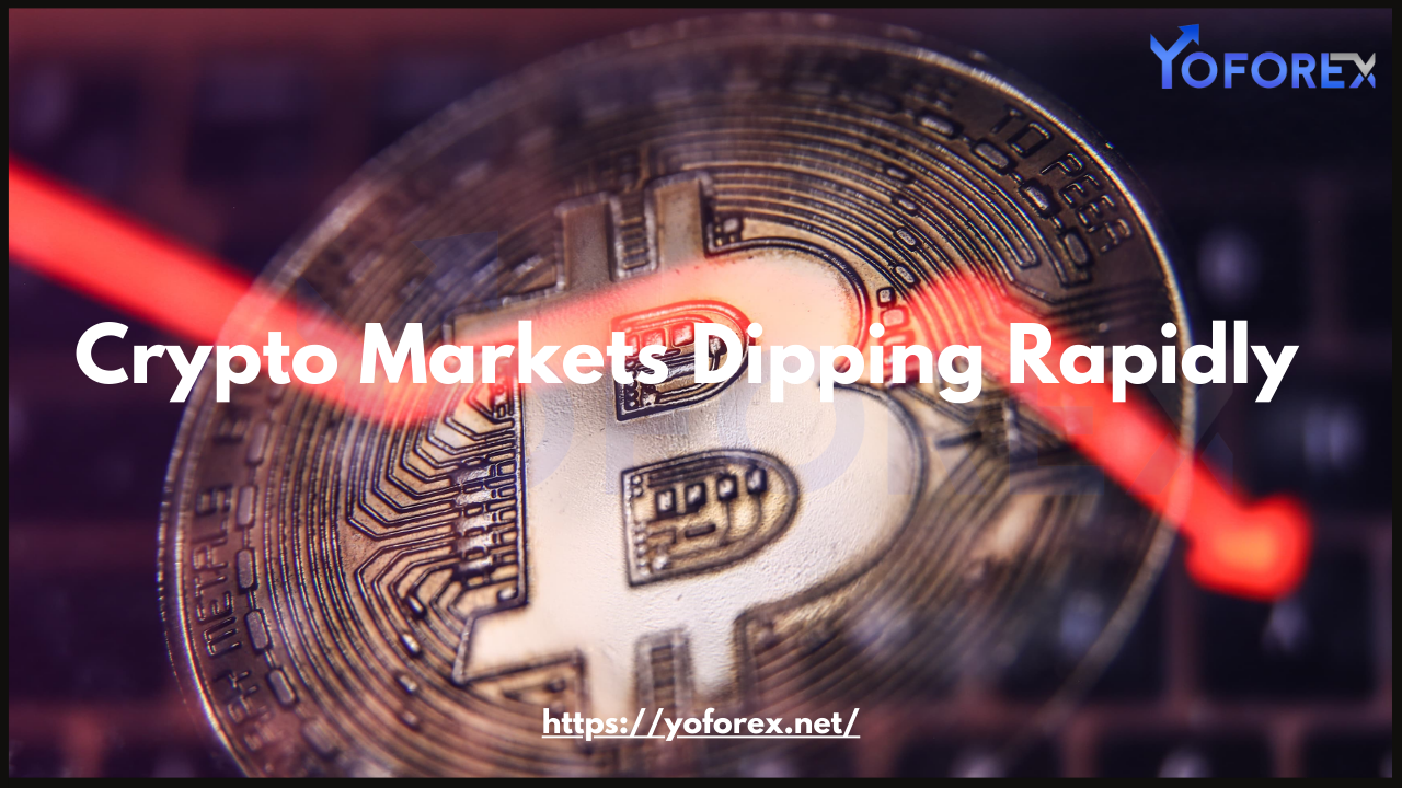 Crypto Markets Dipping Rapidly