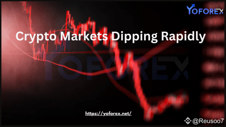 Crypto Markets Dipping Rapidly