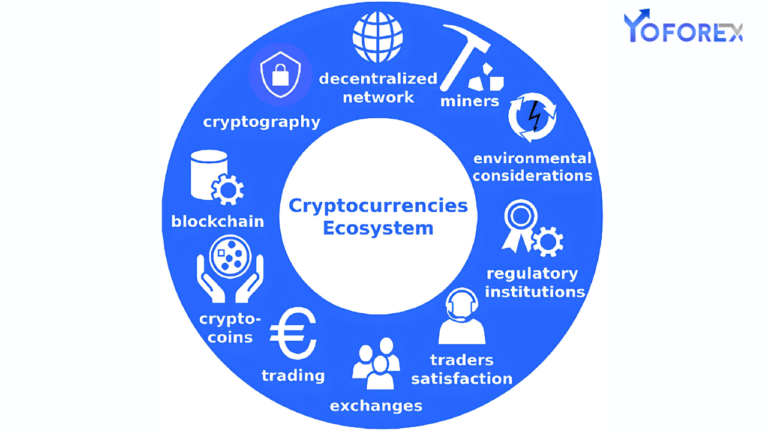 Cryptocurrency Ecosystem