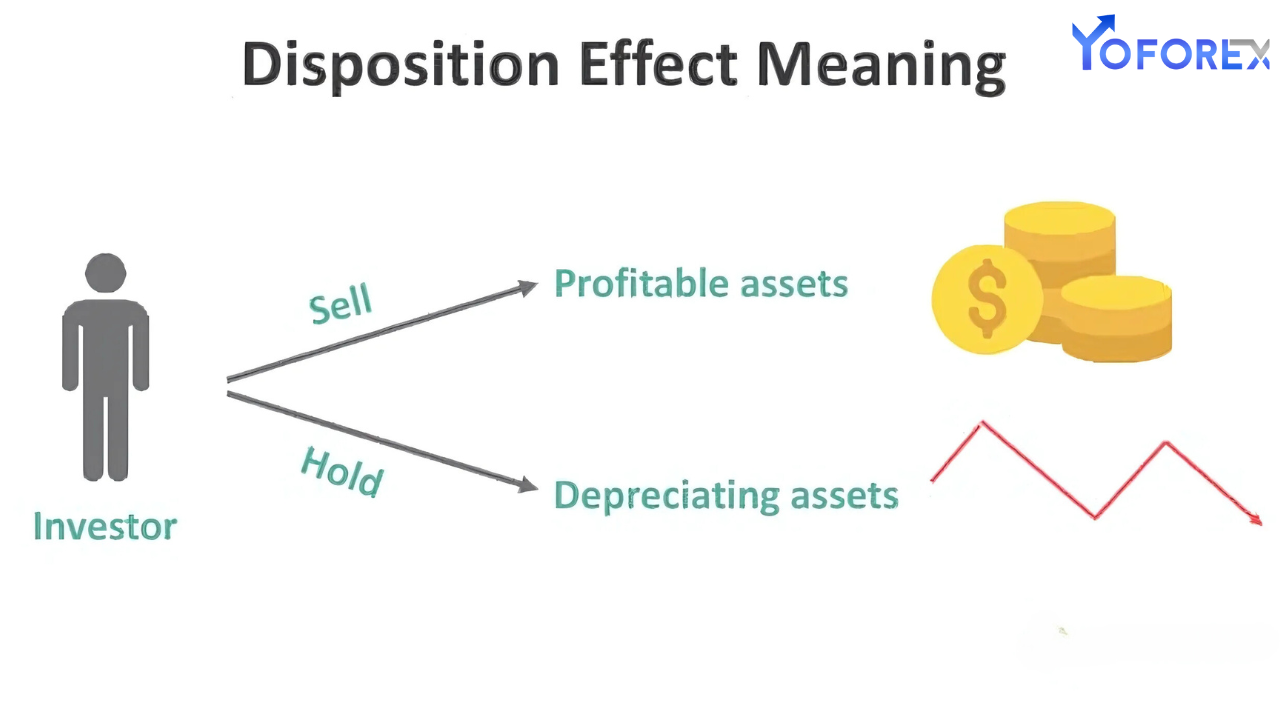 Disposition Effect