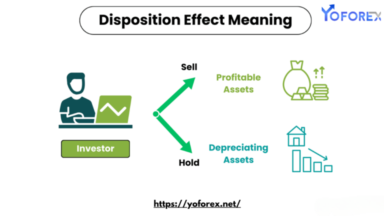 Disposition Effect