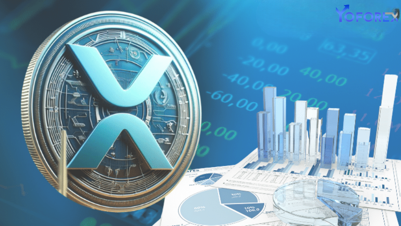 XRP Holders