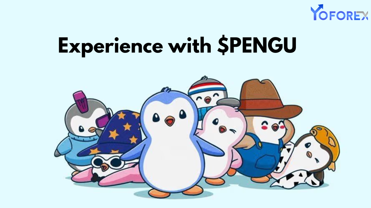 Experience with $PENGU