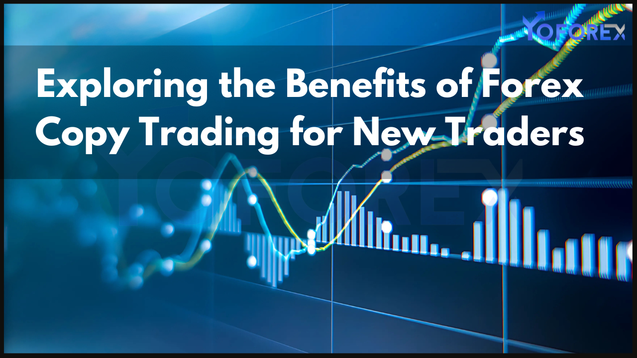 Forex Copy Trading for New Traders