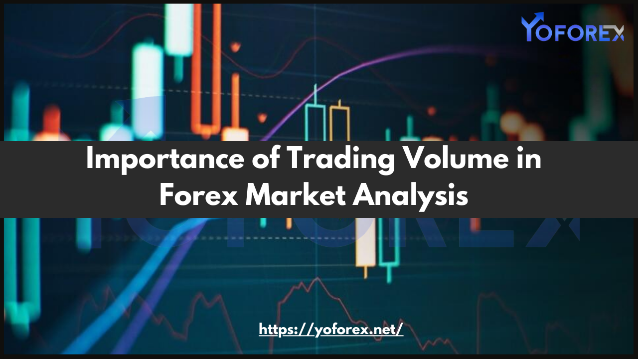 Forex Market Analysis
