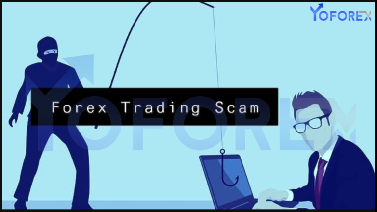 Forex Scams