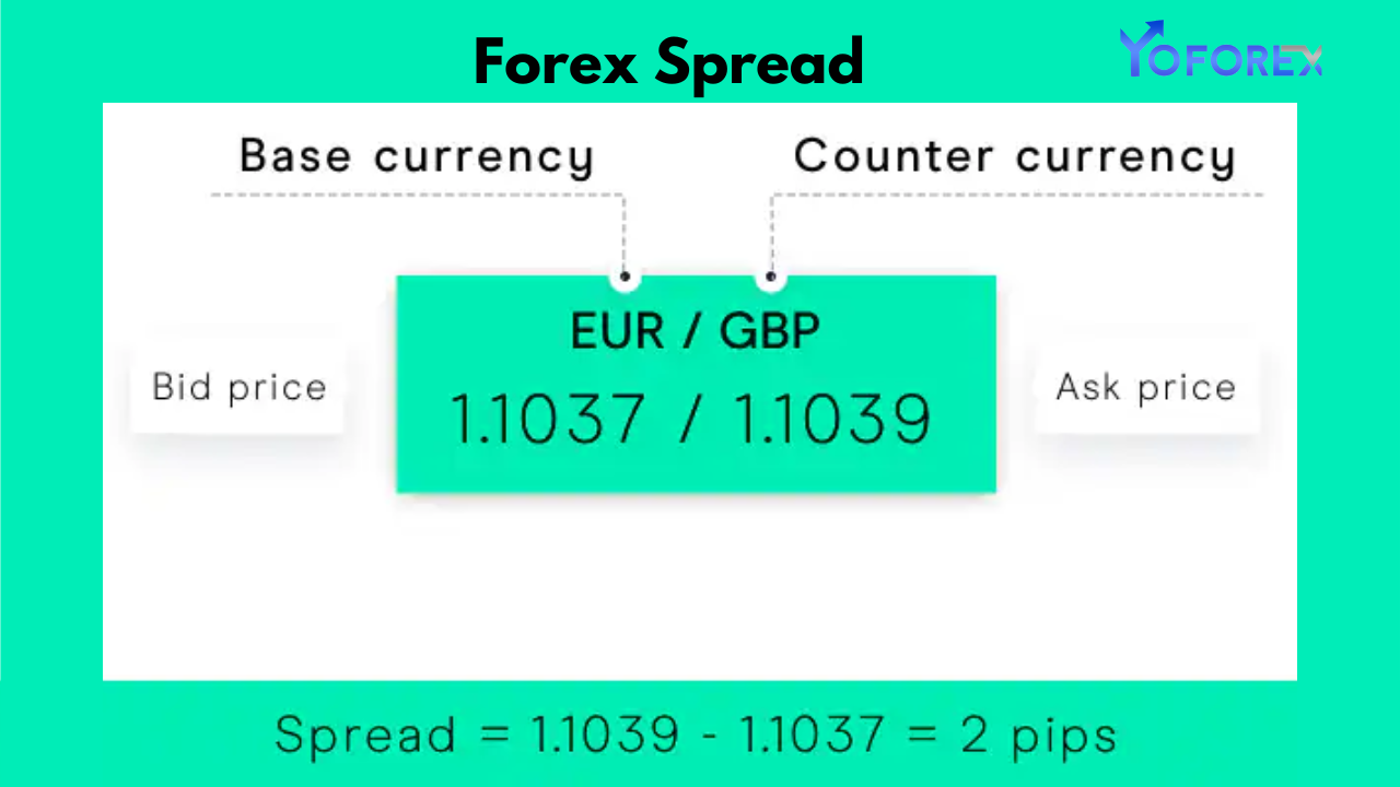 Forex Spreads