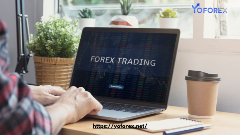 Forex Trading on a Budget