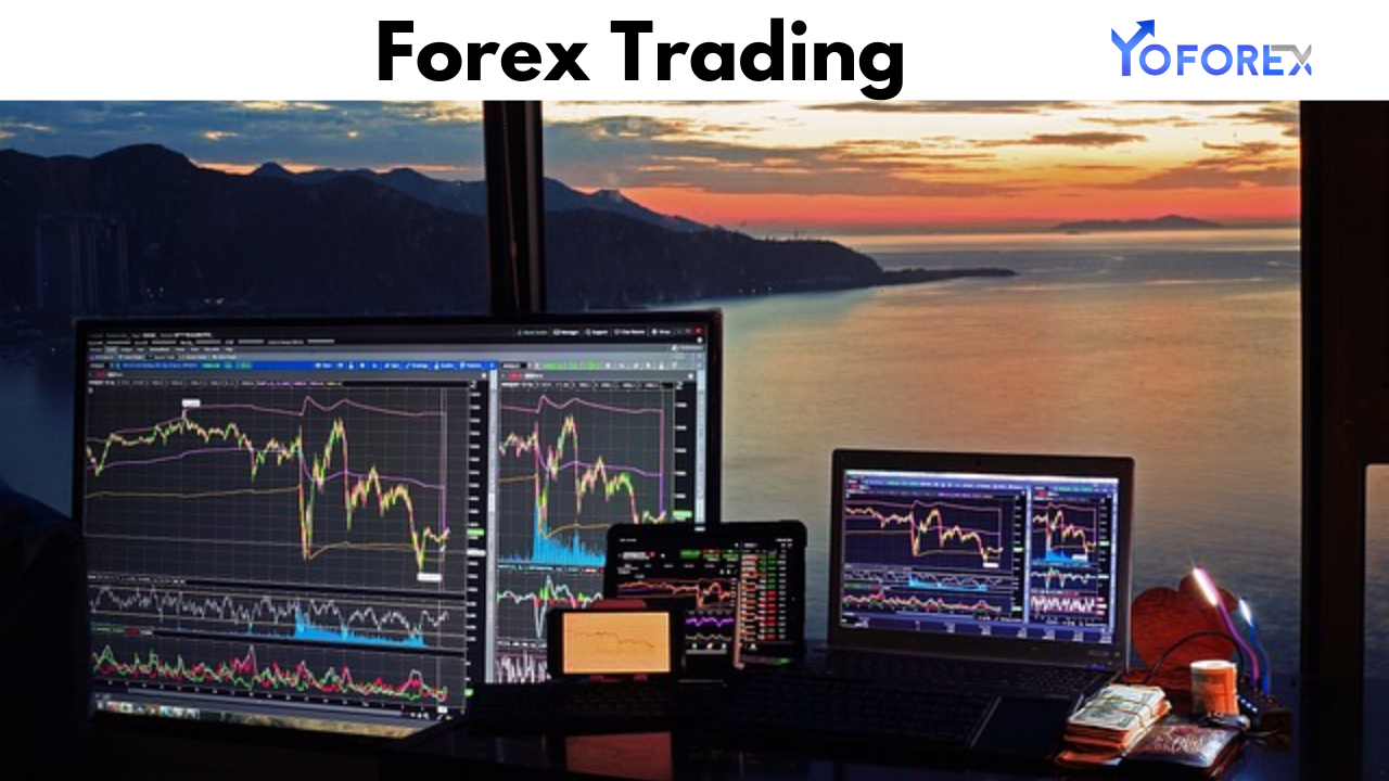 Forex Trading on a Budget