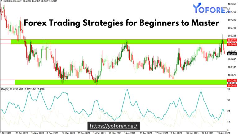 Forex Trading Strategies for Beginners to Master