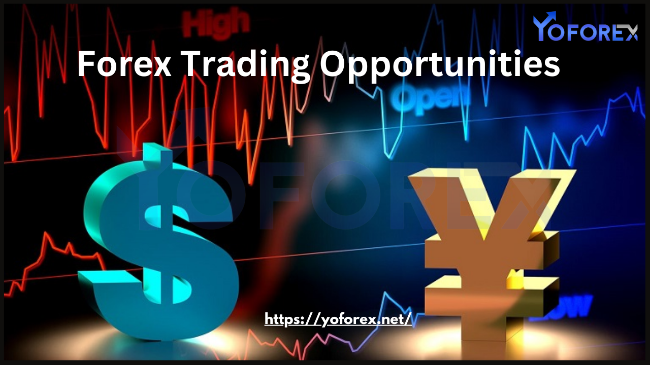 Forex Trading Opportunities