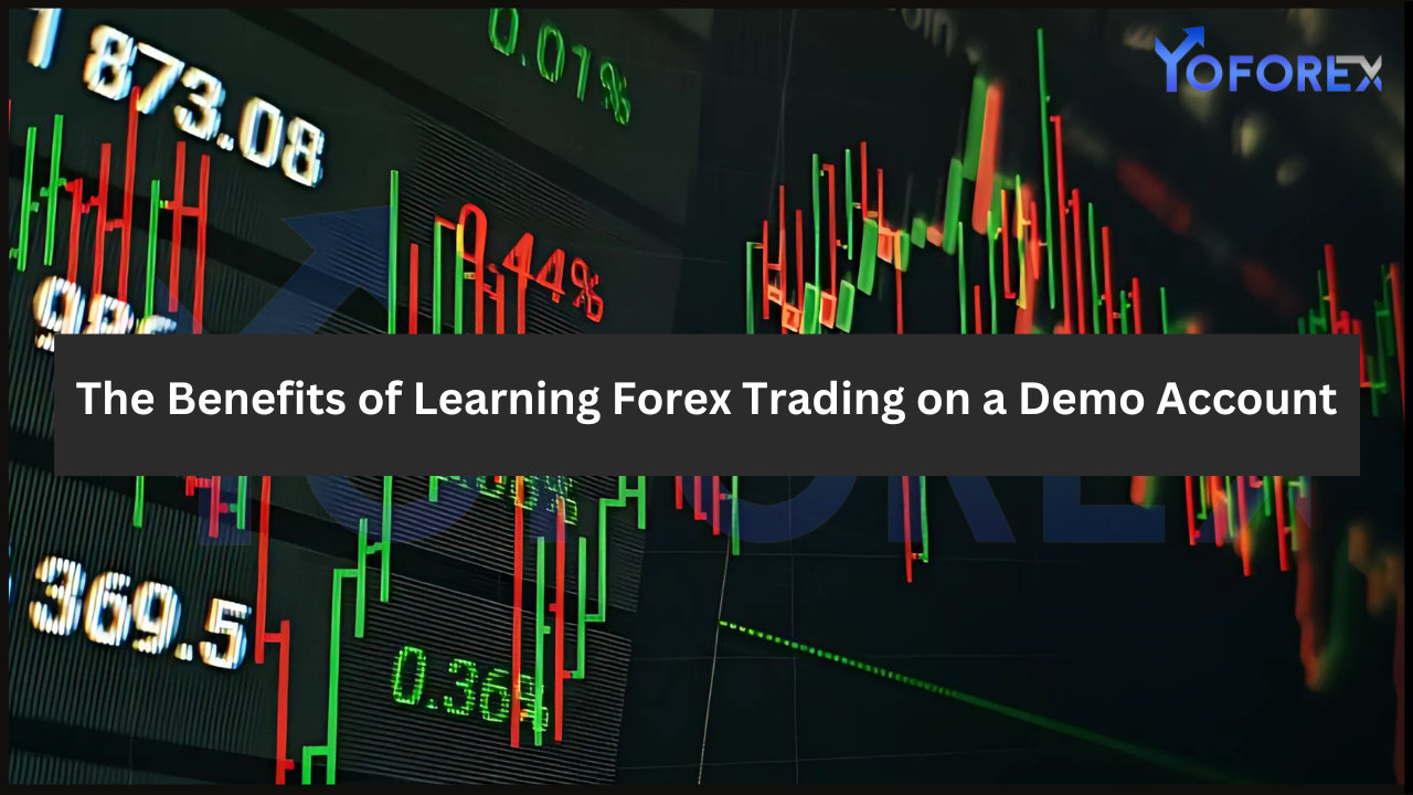 Forex Trading on a Demo Account