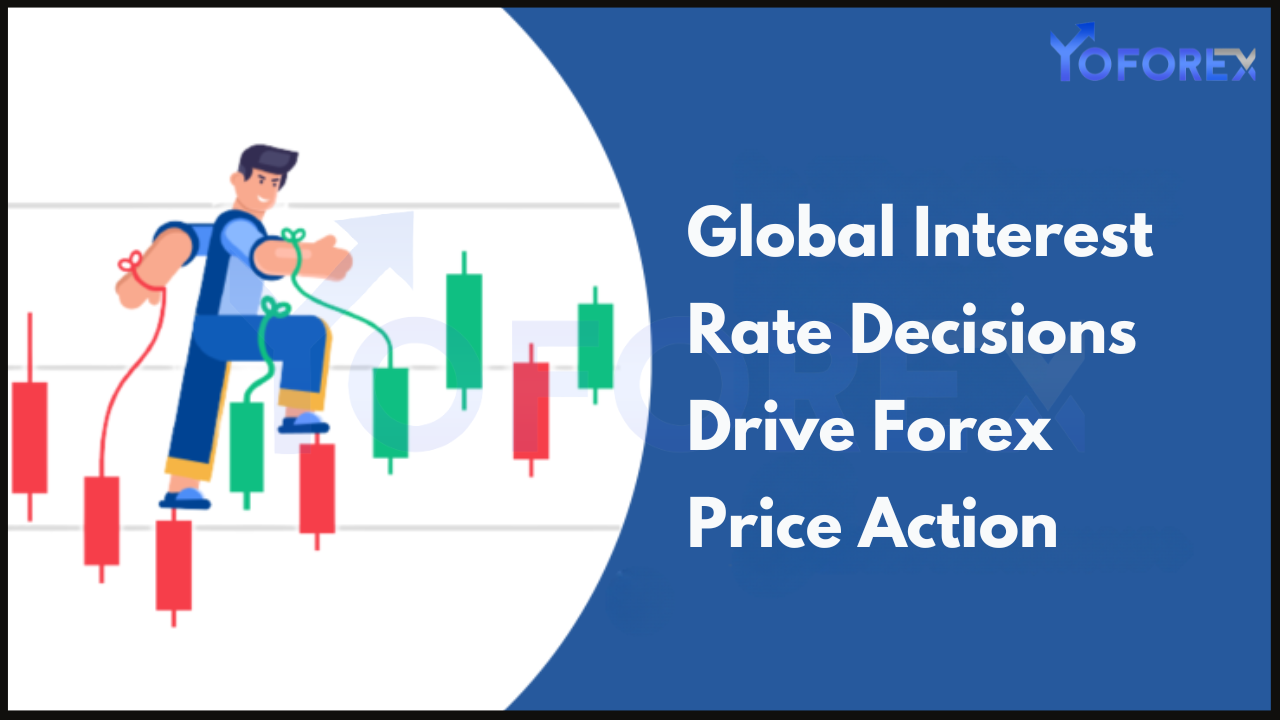 Drive Forex Price Action