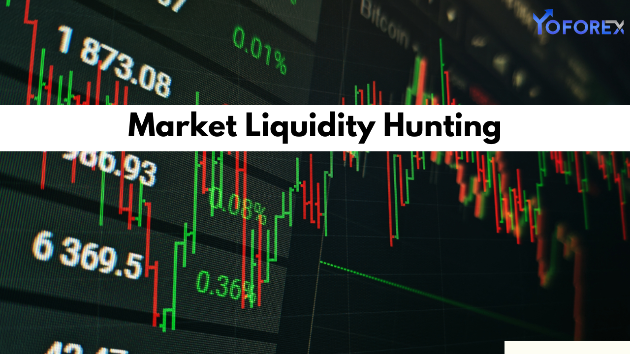 Market Liquidity Hunting