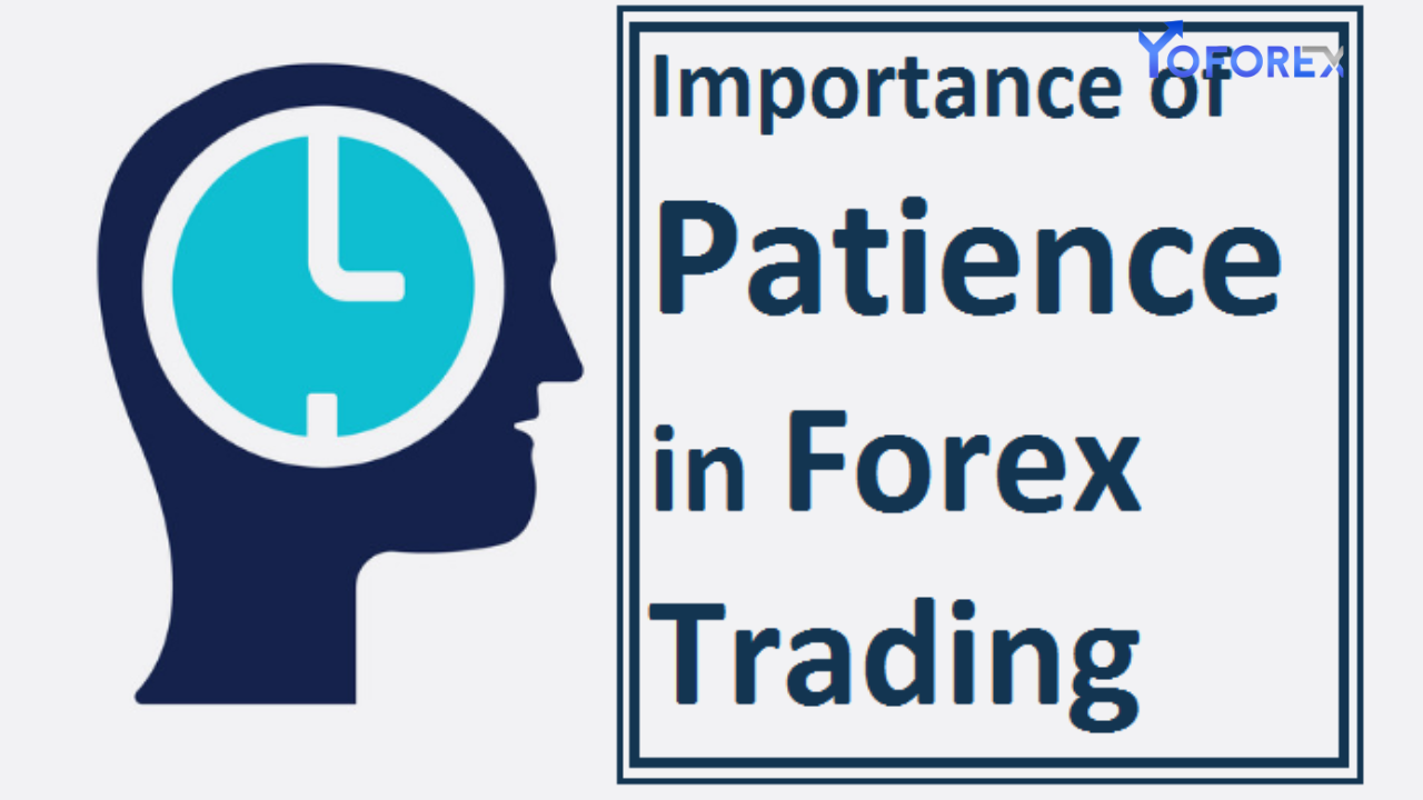 Patience Forex Traders