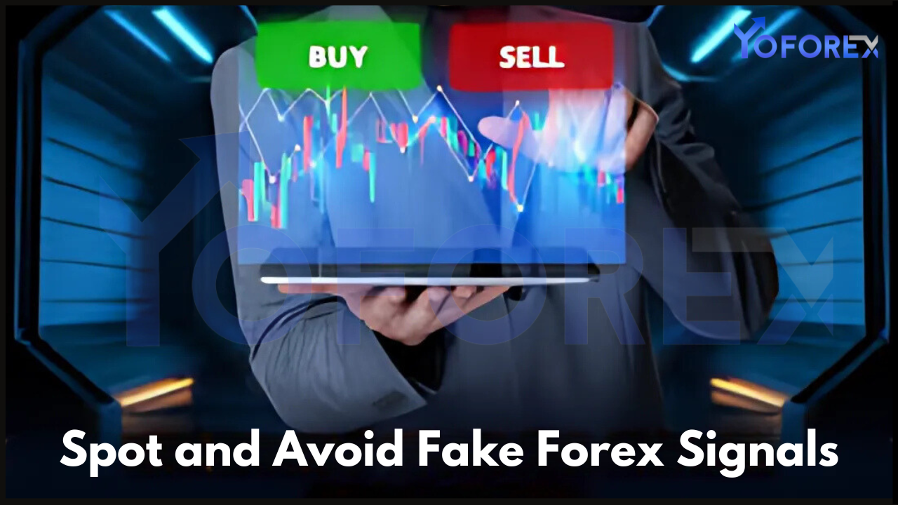 Forex Signals