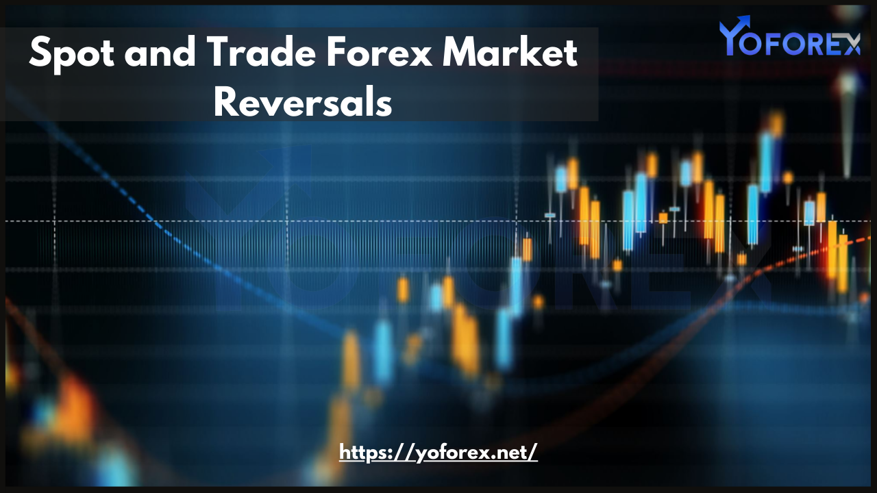 Forex Market
