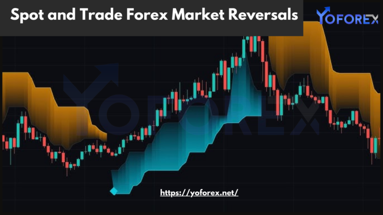 Forex Market