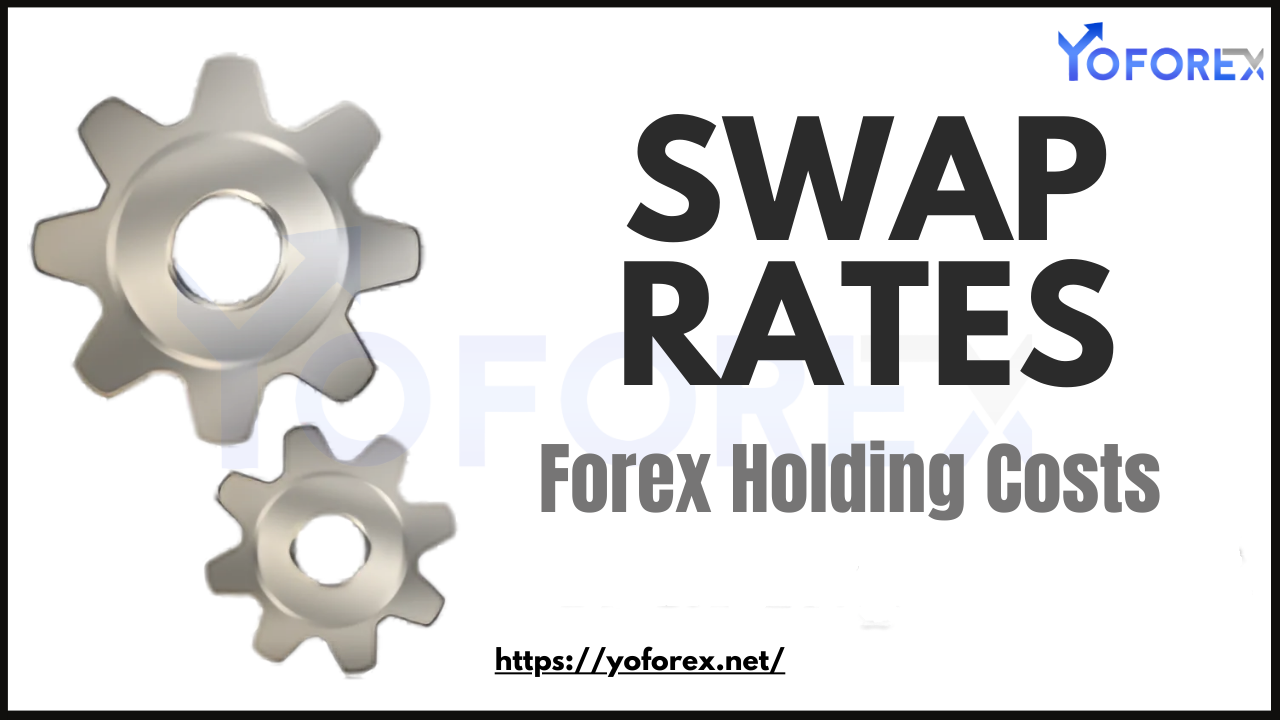 Swap Rates in Forex Holding Costs