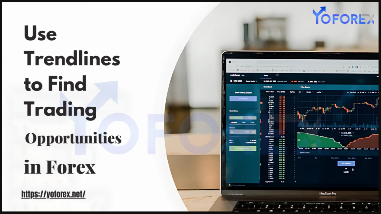 Find Trading Opportunities in Forex