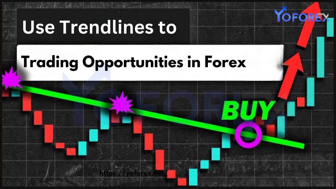 Find Trading Opportunities in Forex