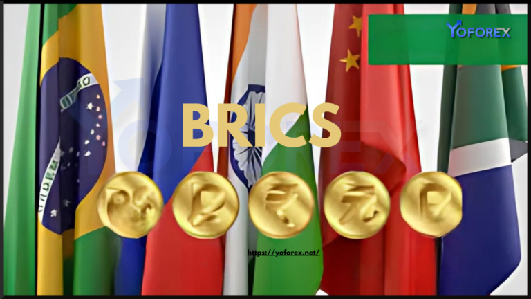 BRICS Countries