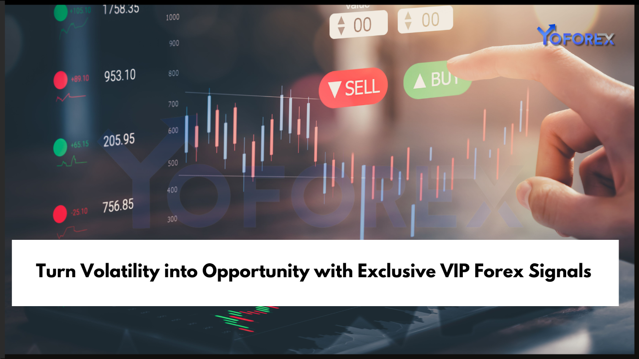 VIP Forex Signals