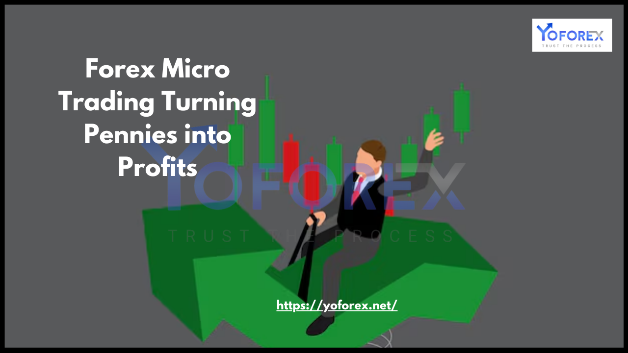 Forex Micro Trading