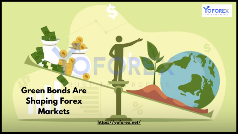 Forex Markets