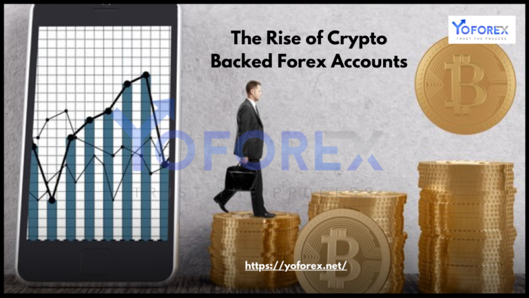 Forex Accounts