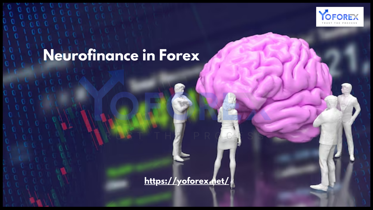 Neurofinance in Forex