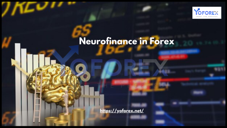 Neurofinance in Forex