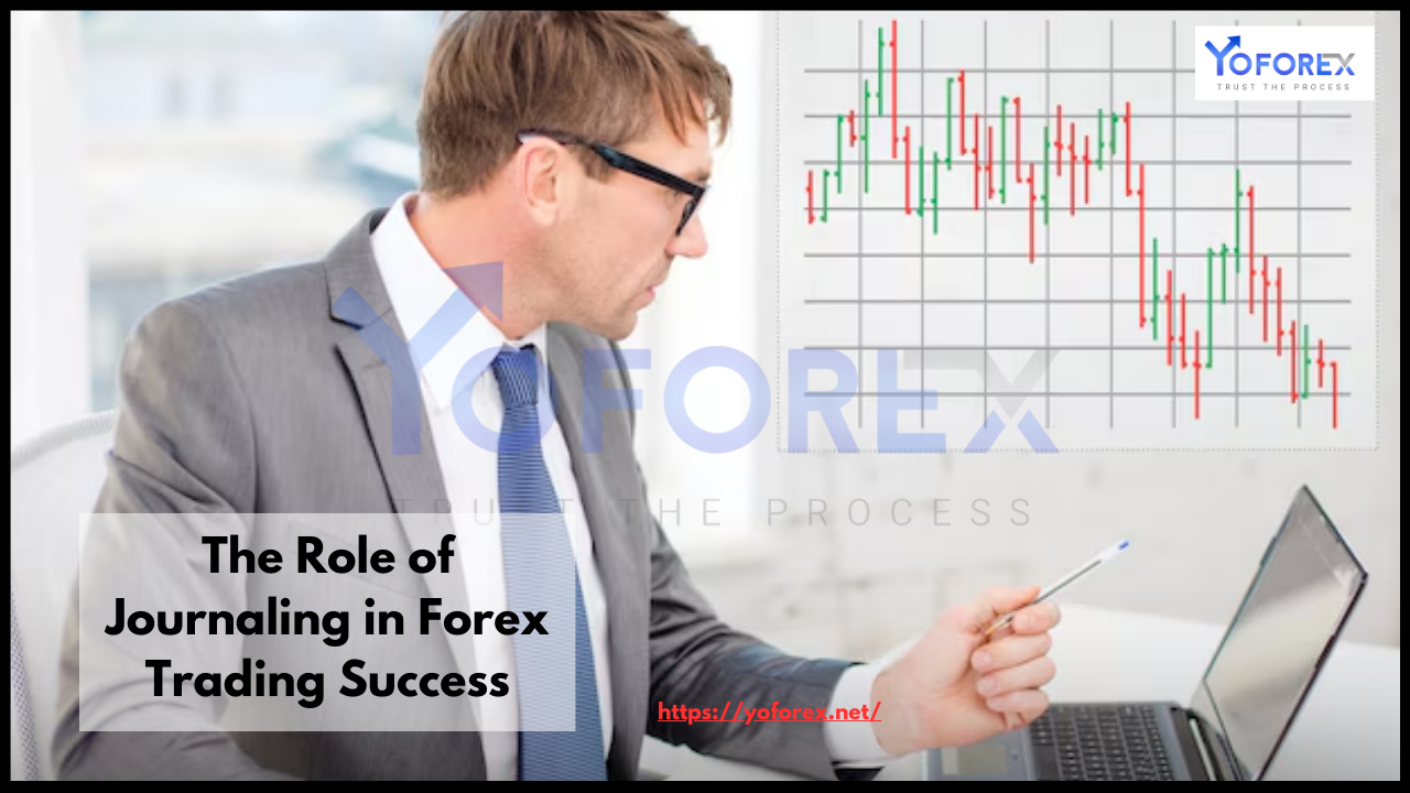 Forex Trading