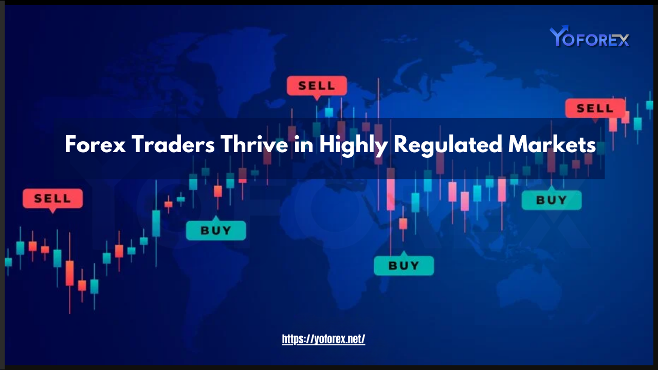 Forex Traders