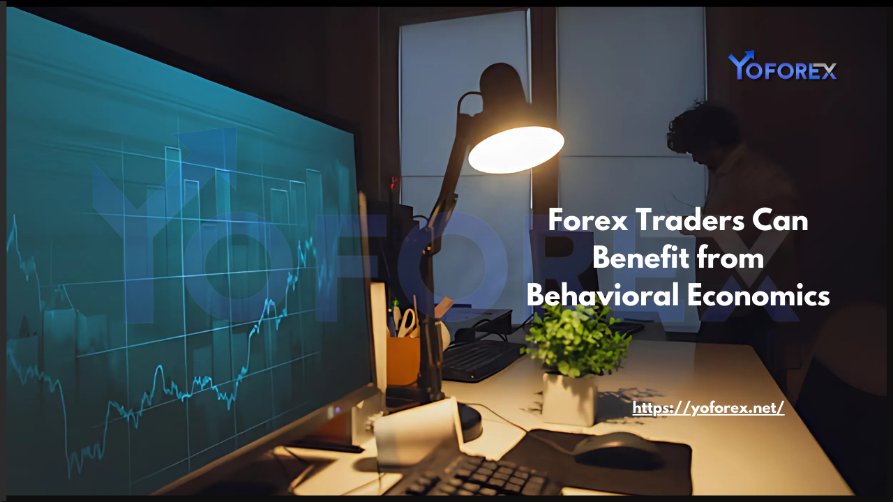Forex Traders