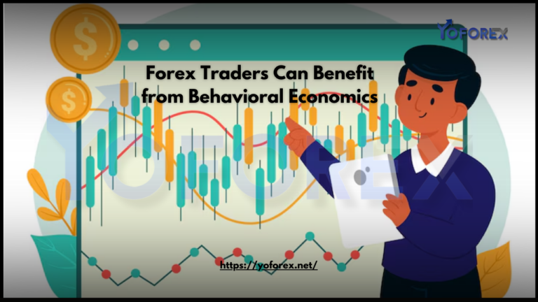 Forex Traders