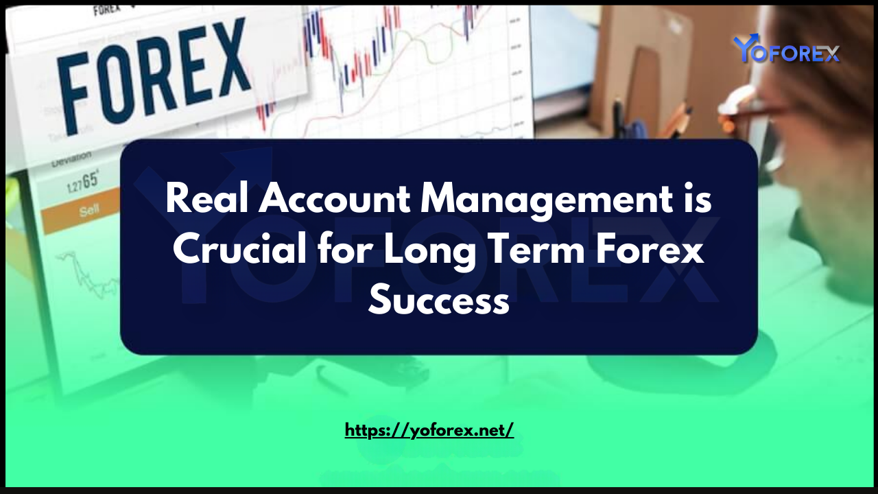 Forex Success