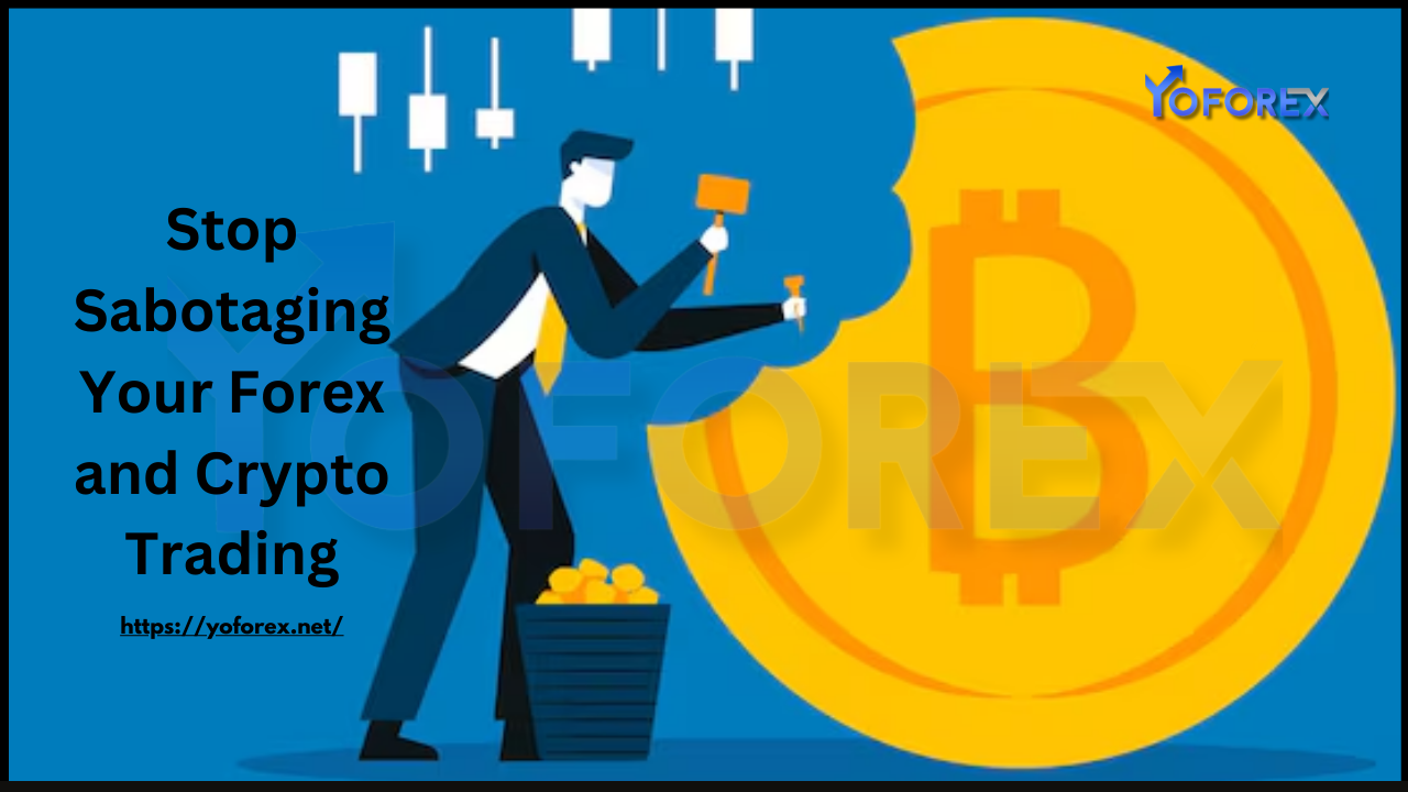 Forex and Crypto Trading