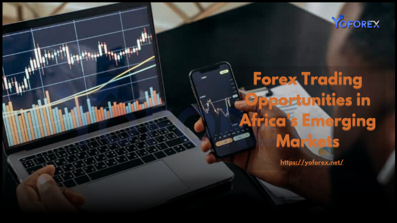 Forex Trading
