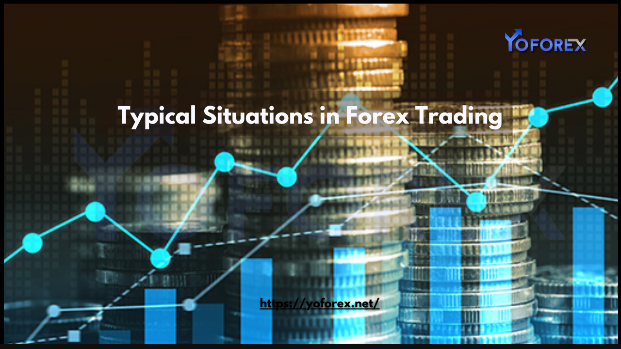 Forex Trading