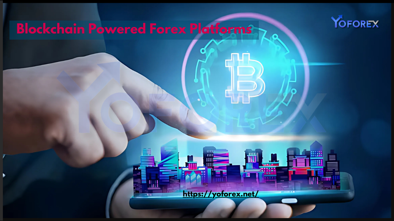 Forex Platforms