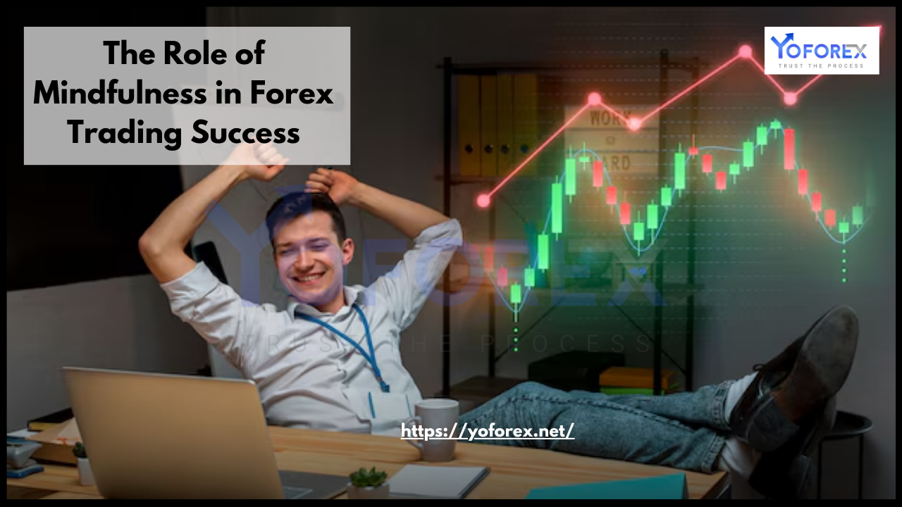 Forex Trading