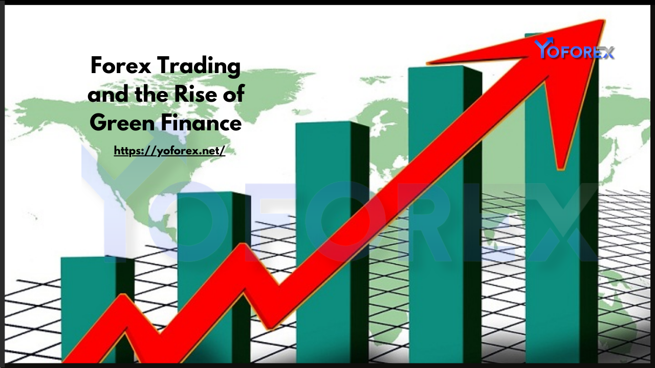 Forex Trading