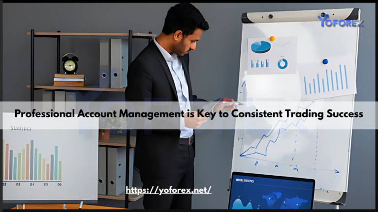 Professional Account Management