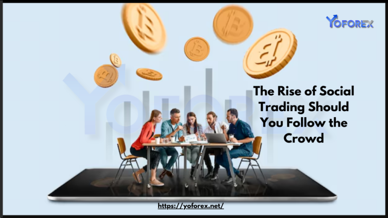 Social Trading