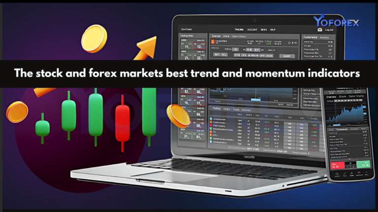 stock and forex markets