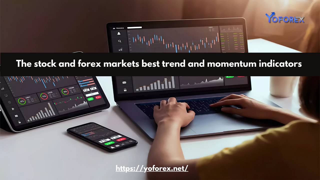 stock and forex markets